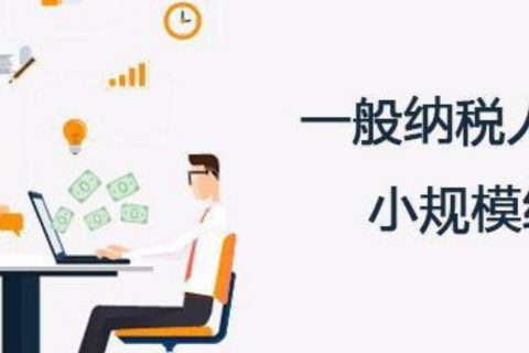 拉薩的一般納稅人和小規(guī)模納稅人納稅方式以及認(rèn)定資格是什么？同內(nèi)地企業(yè)有區(qū)別嗎？
