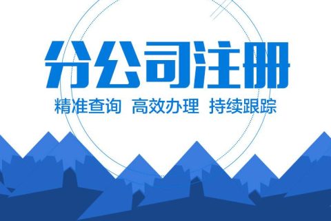 在拉薩設(shè)立分公司的流程、所需材料、辦理時(shí)間