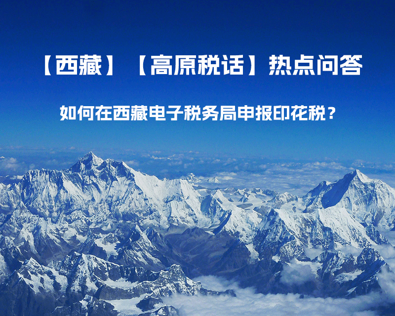 如何在西藏自治區(qū)電子稅務(wù)局申報印花稅？
