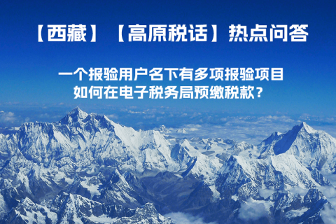 一個(gè)報(bào)驗(yàn)用戶名下有多項(xiàng)報(bào)驗(yàn)項(xiàng)目，如何在電子稅務(wù)局預(yù)繳稅款？