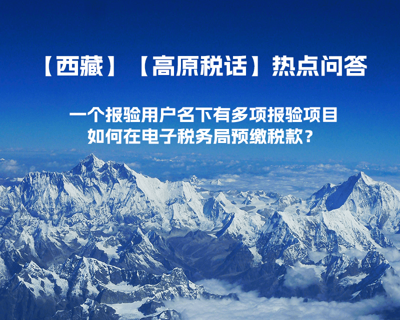 一個報驗用戶名下有多項報驗項目，如何在電子稅務局預繳稅款？