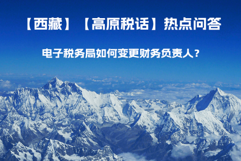 電子稅務(wù)局如何變更財(cái)務(wù)負(fù)責(zé)人？