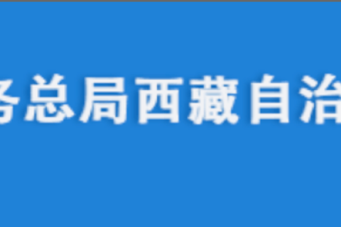 電腦更換后，自然人電子稅務(wù)局扣繳端申報(bào)收入額如何進(jìn)行累計(jì)？