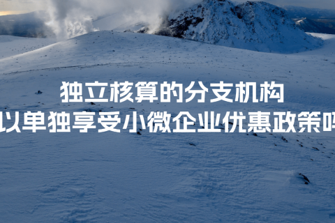 獨立核算的分支機構可以單獨享受小微企業(yè)優(yōu)惠政策嗎？