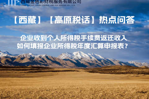 企業(yè)收到個人所得稅手續(xù)費返還收入，如何填報企業(yè)所得稅年度匯算申報表？